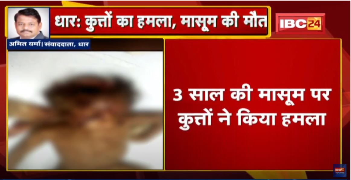 Dhar News : 3 साल की मासूम पर कुत्तों ने किया हमला | कुत्ते के हमले में मासूम की मौत