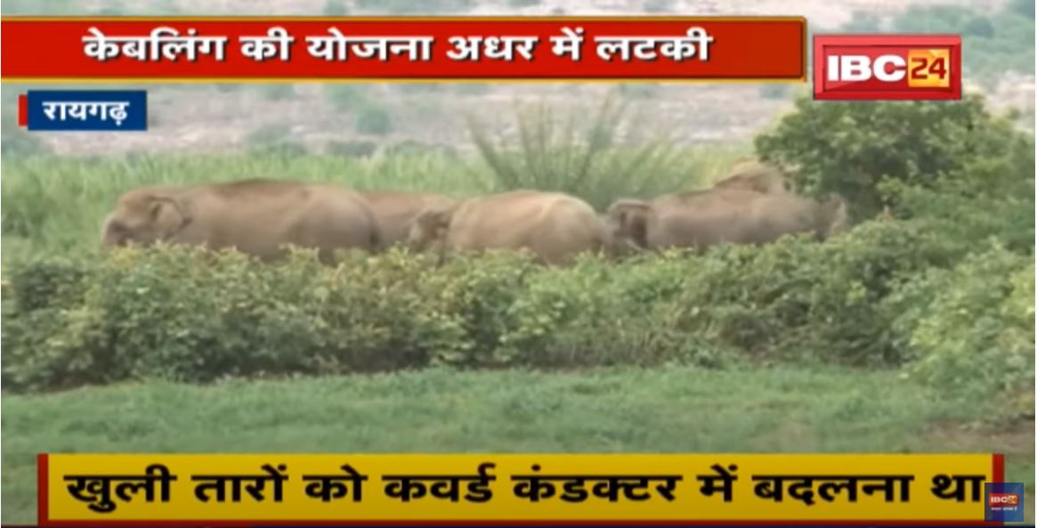 Raigarh : केबलिंग की योजना अधर में लटकी | शासन से अभी तक नहीं मिल पाई है स्वीकृति
