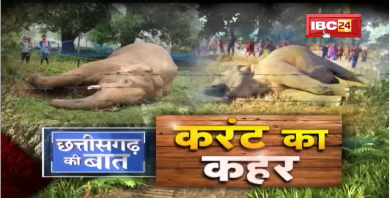 हाथी बनाम इंसान..कब निकलेगा समाधान? करंट ने ली हथिनी की जान..जिम्मेदार कौन? Elephant News।CG Ki Baat