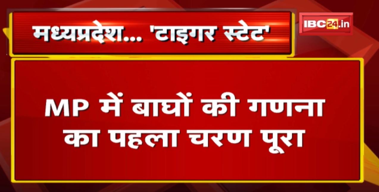 Madhya Pradesh Tiger State : बाघों की संख्या पहुंची सात सौ के पार | बीते साल 46 बाघों की हुई मौत