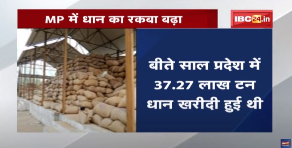 Broken Record of Paddy Purchase This time 45.43 lakh tonnes of paddy was purchased in Madhya Pradesh