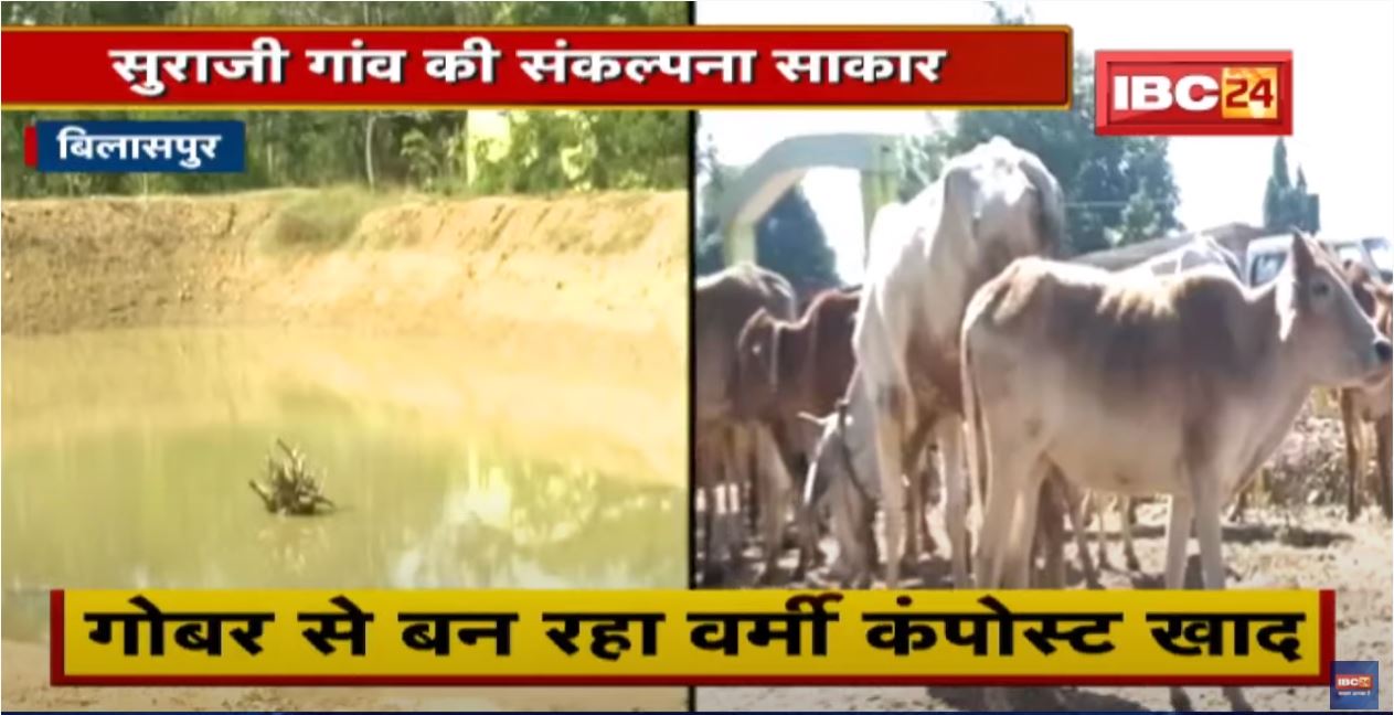 सुराजी गांव की संकल्पना साकार | रोजगार से सीधे जुड़ रही हैं महिलाएं | देखिए पूरी Report