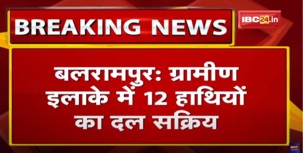 Elephant Attack: वन विभाग ने आधी रात खाली कराया गांव| 250 लोगों को पंचायत भवन,हॉस्टल में कराया शिफ्ट