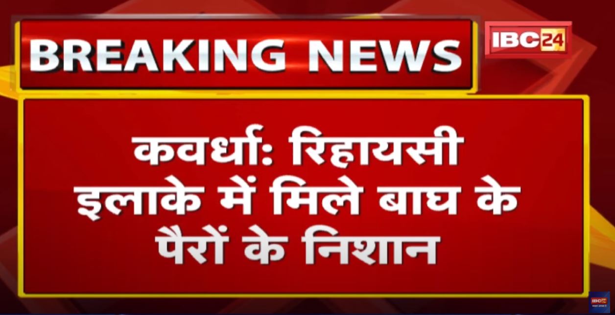 यहां मिले बाघ के पैरों के निशान | Achanakmar Tiger Reserve से रिहायशी इलाके में पहुंचा Tiger (बाघ)