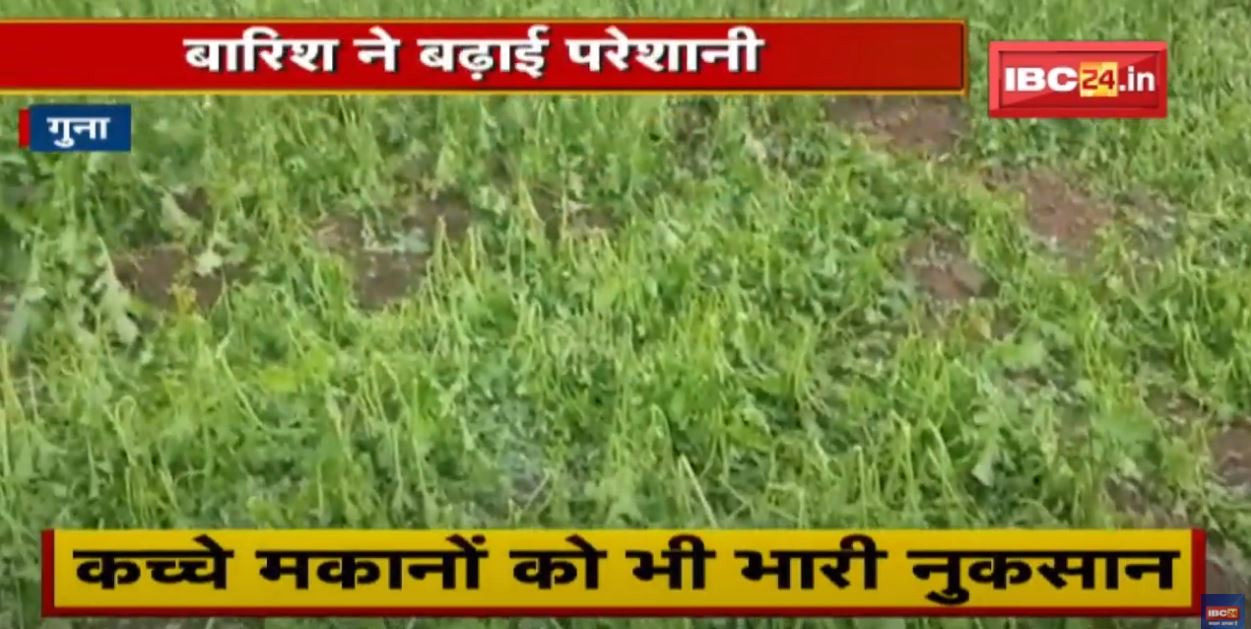मौसम ने दिखाए कड़े तेवर | Guna में तेज आंधी-बारिश के साथ ओलावृष्टि फसलों को नुकसान