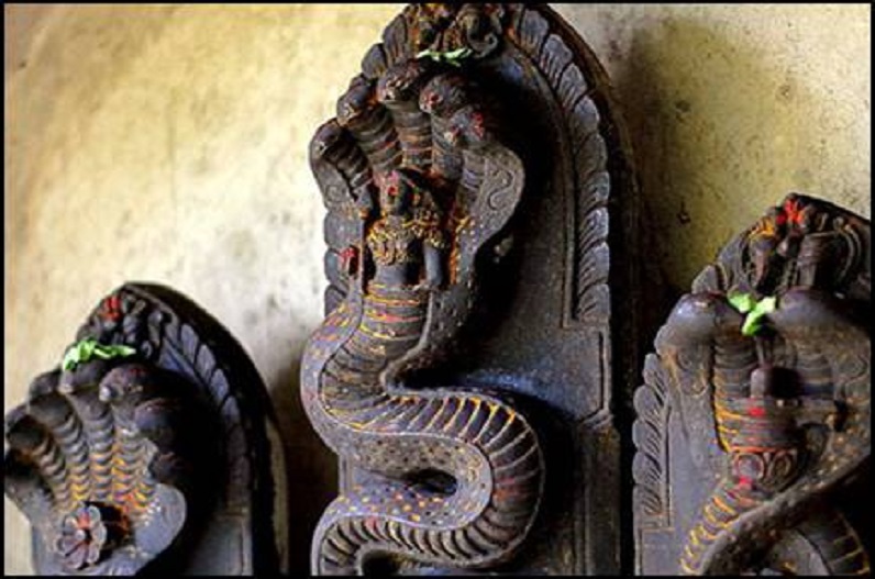 कालसर्प दोष से मुक्ति पाने मौनी अमावस्या पर करें ये 5 काम, 1 फरवरी है सबसे शुभ दिन