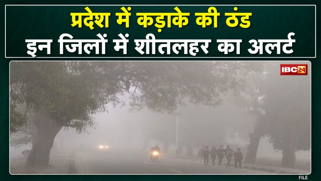 Cold weather in Madhya Pradesh-Chhattisgarh | The temperature of these districts was recorded at 5 to 4 degrees.