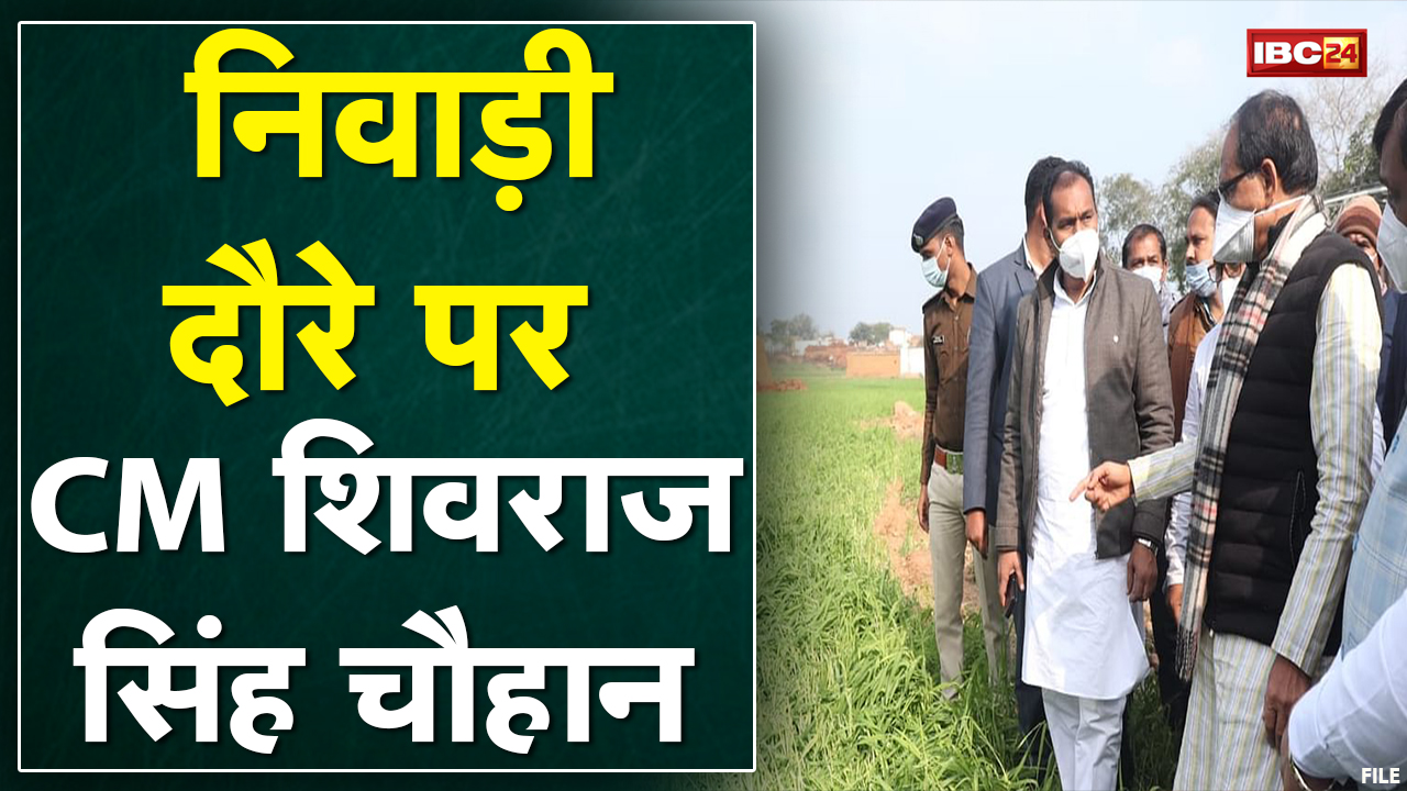 CM Shivraj in Niwari : पृथ्वीपुर पहुंचकर सीएम शिवराज ने ओलावृष्टि से प्रभावित फसलों का लिया जायजा