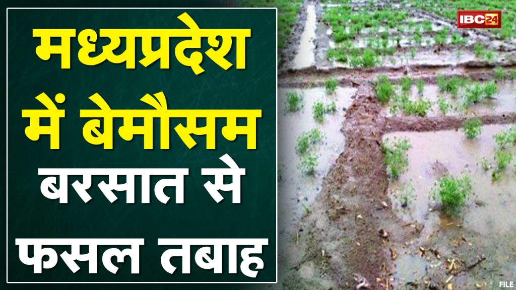 Heavy Rain and Snow Falls