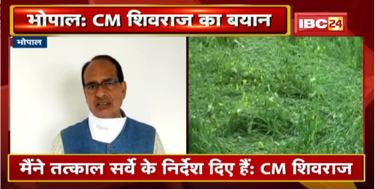 ओलावृष्टि से फसलों को नुकसान | राज्य सरकार देगी मुआवजा, CM ने तत्काल सर्वे करने के दिए निर्देश