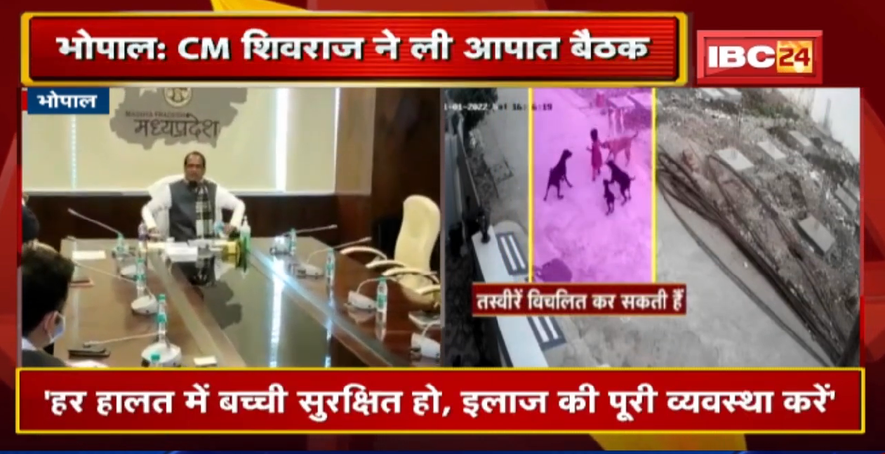 आवारा कुत्तों के हमले को लेकर CM Shivraj Singh Chouhan ने बुलाई बैठक | अधिकारियों को लगाई फटकार