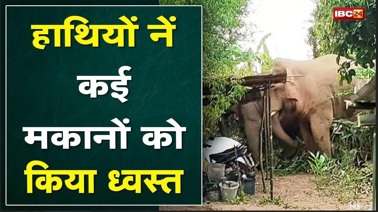 Dhamtari Elephant Attack: हाथियों का उत्पात | मकान के अंदर सो रहे बच्चे और किसानों ने भागकर बचाई जान