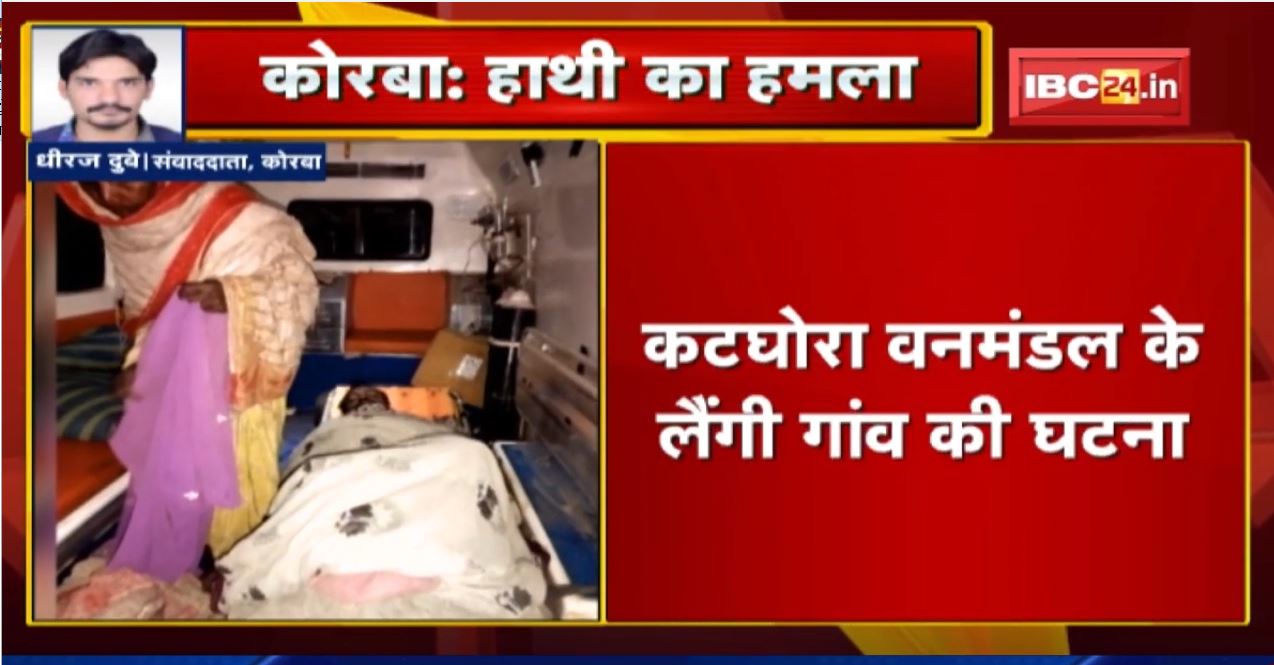 Korba Elephant Attack : कटघोरा वनमंडल में हाथियों का उत्पात | हाथी के हमले में 2 महिला घायल