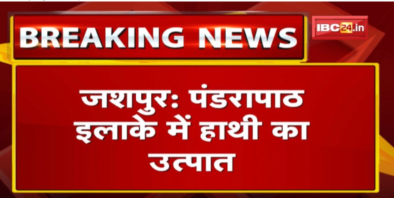 Jashpur Elephant Attack : बहोरा के जंगलों में घूम रहा हाथी | 2 घरों को पहुंचाया नुकसान