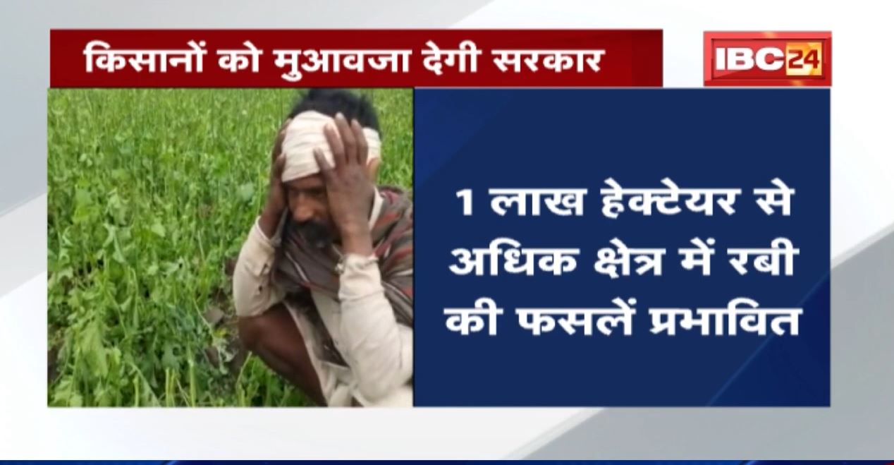 बारिश में खराब हुई फसलें | किसानों को सहायता राशि उपलब्ध कराएगी मध्यप्रदेश सरकार