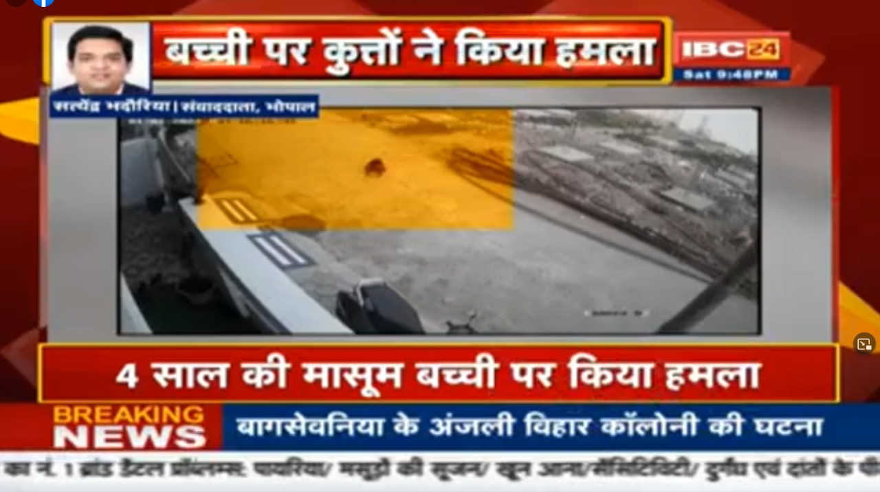 राजधानी में कुत्तों के झुंड ने किया बच्ची पर हमला, CCTV में कैद हुई हैरान करने वाली घटना..देखें वीडियो