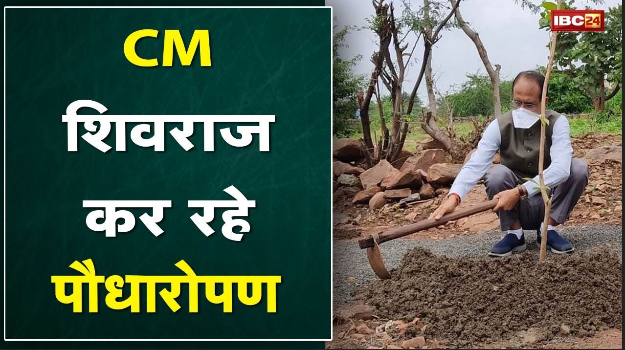 CM Shivraj Singh Chouhan कर रहे पौधारोपण | कर्मचारियों को दिलाई शपथ