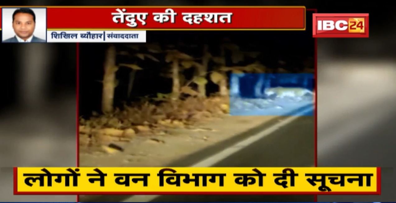 Bhopal : तेंदुए की दहशत | आबादी के नजदीक दिखा तेंदुआ | Forest Department ने जारी किया Alert