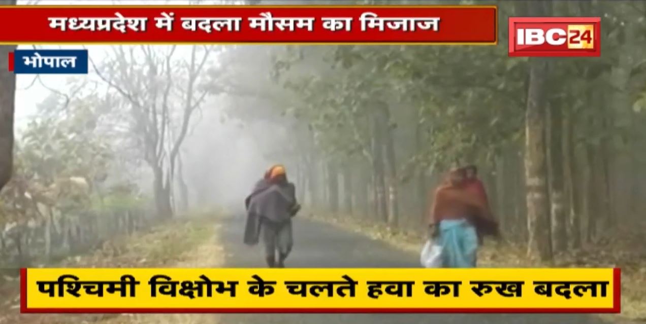 MP Weather Update : आज से तापमान में बढ़ोतरी, ठंड से राहत | उमरिया में सबसे कम 3 डिग्री तापमान दर्ज