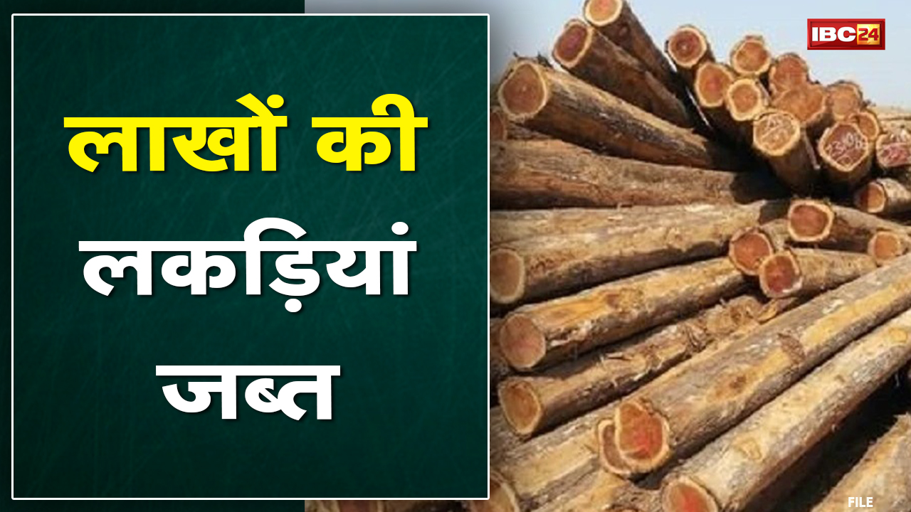 Wood Smuggling Balrampur : लकड़ी की तस्करी करते वाहन जब्त | पिकअप में भरी हुई थीं लाखों की लकड़ियां