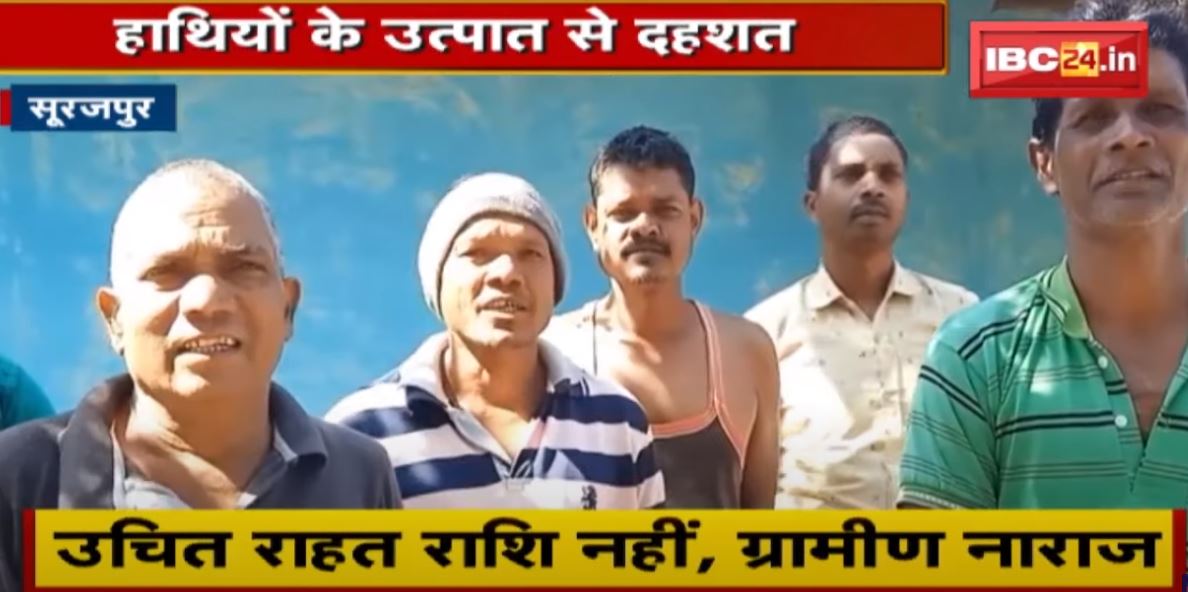 Surajpur : हाथियों के उत्पात से दहशत | घरों और फसल को पहुंचाया नुकसान