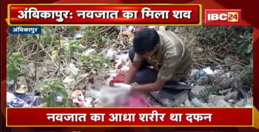 Ambikapur Medical College के पास मिला नवजात का शव | जिंदा बच्चे को दफन करने की आशंका
