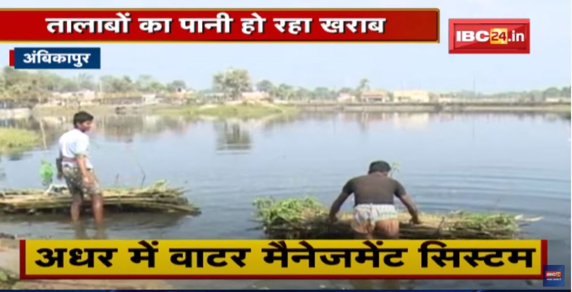 Ambikapur : अधर में Water Management System | तालाबों का पानी हो रहा खराब