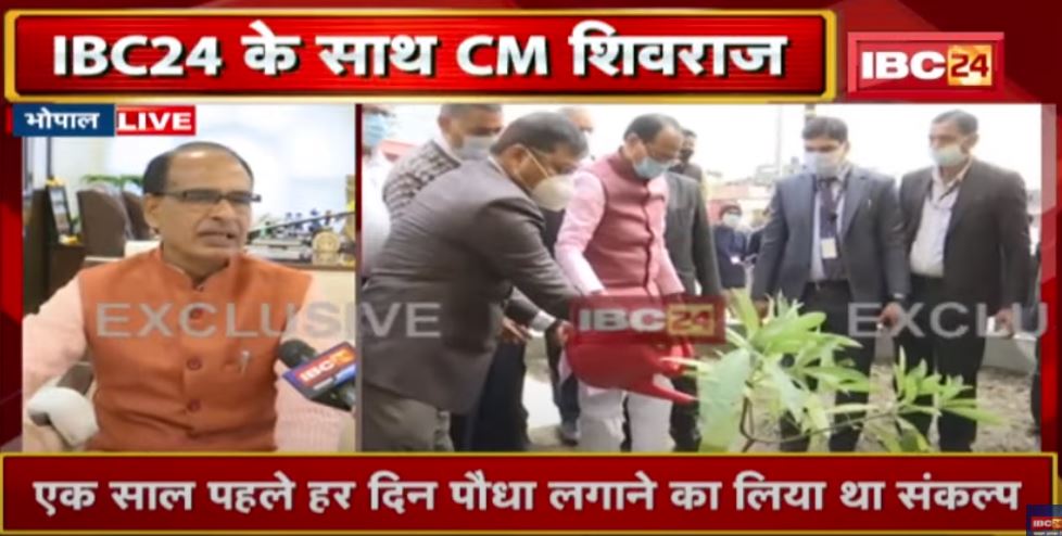 CM Shivraj Singh Chouhan ने IBC24 के साथ किया पौधारोपण | कहा- पर्यावरण बचाना है तो पेड़ लगाना जरूरी