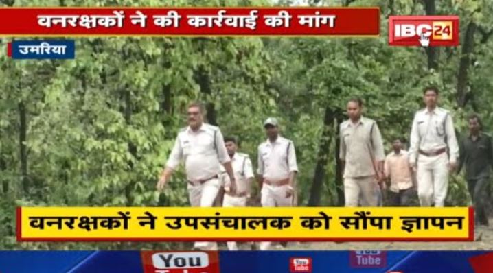एक बार फिर चर्चा में वन विभाग की यह Lady Singham SDO Shraddha Pandre | जानिये क्या है वजह