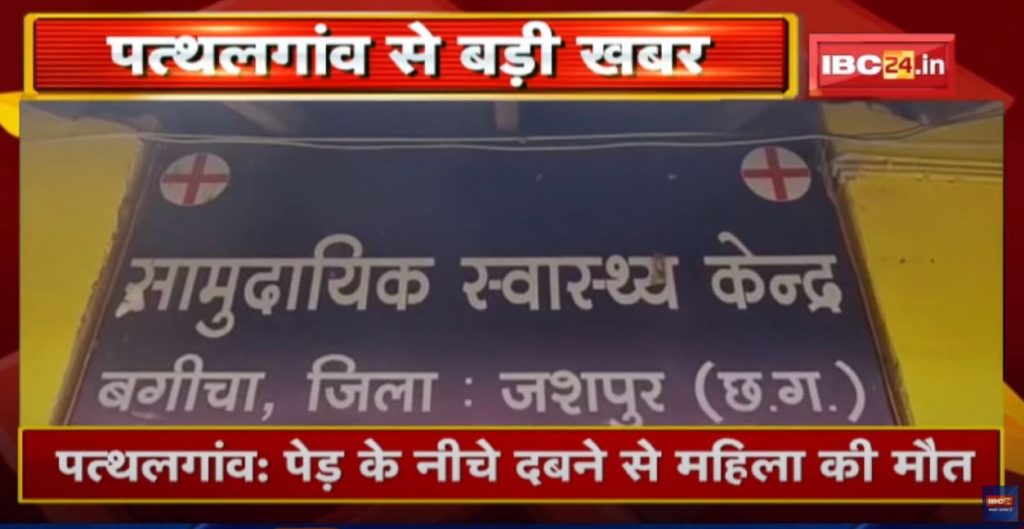 Pathalgaon News : The woman's husband was cutting trees with an ax. Woman dies after being buried under a tree