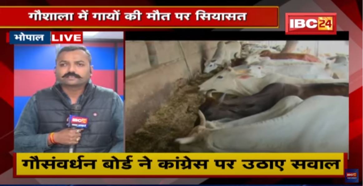 MP Latest News : गौशाला में गायों की मौत पर सियासत | Congress ने बनाई जांच के लिए कमेटी