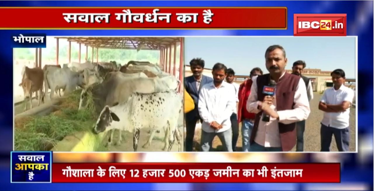 बस नाम की ‘स्मार्ट गौशाला’ ! सवाल गौवर्धन का है। Gauvardhan। Smart Gaushala। Sawal Aapka Hai