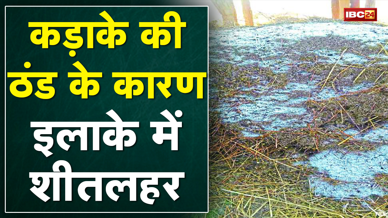 Mainpat Temperature : कड़ाके की ठंड | पठारी इलाकों में बिछी बर्फ की सफेद चादर