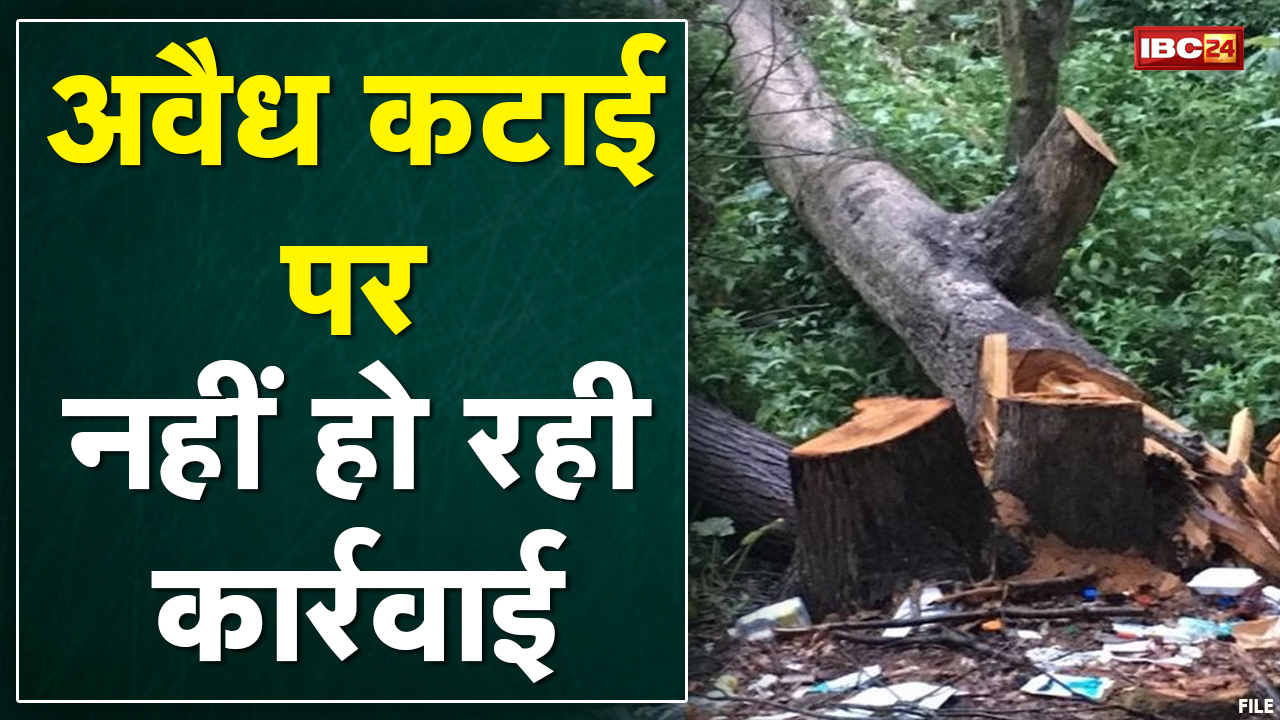 Pathalgaon में बेजाकब्जा के विरोध में प्रदर्शन | Forest Department के खिलाफ गुस्सा