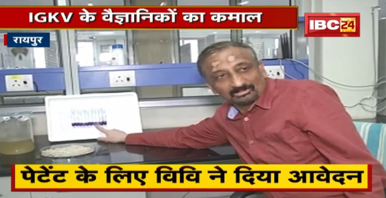 Raipur : IGKV के वैज्ञानिकों का कमाल। चावल से बनाया प्रोटीन। देखिए