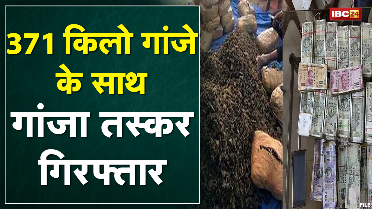 Rajnandgaon Police के हत्थे चढ़ा गांजा तस्कर | 371 किलो का गांजा समेत 556 ग्राम सोना और 12 लाख बरामद