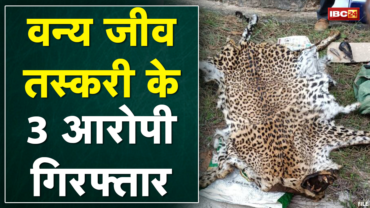 Rajnandgaon : तेंदुए की खाल के साथ 3 आरोपी Arrest | वाहन चेकिंग के दौरान Car से खाल बरामद