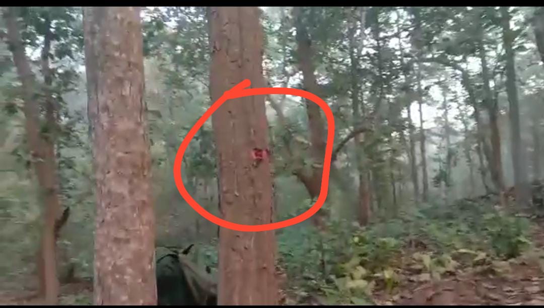 रेलवे निमार्ण के लिए बने पुलिस कैंप में हमले की योजना बना रहे थे नक्सली! पुलिस ने नाकाम किया नापाक मंसूबे