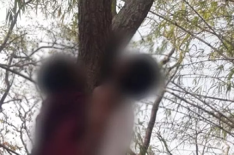 लव मैरिज के बाद पति-पत्नी की ये कैसी दुर्दशा! पेड़ पर फंदे से लटका मिला दोनों का शव