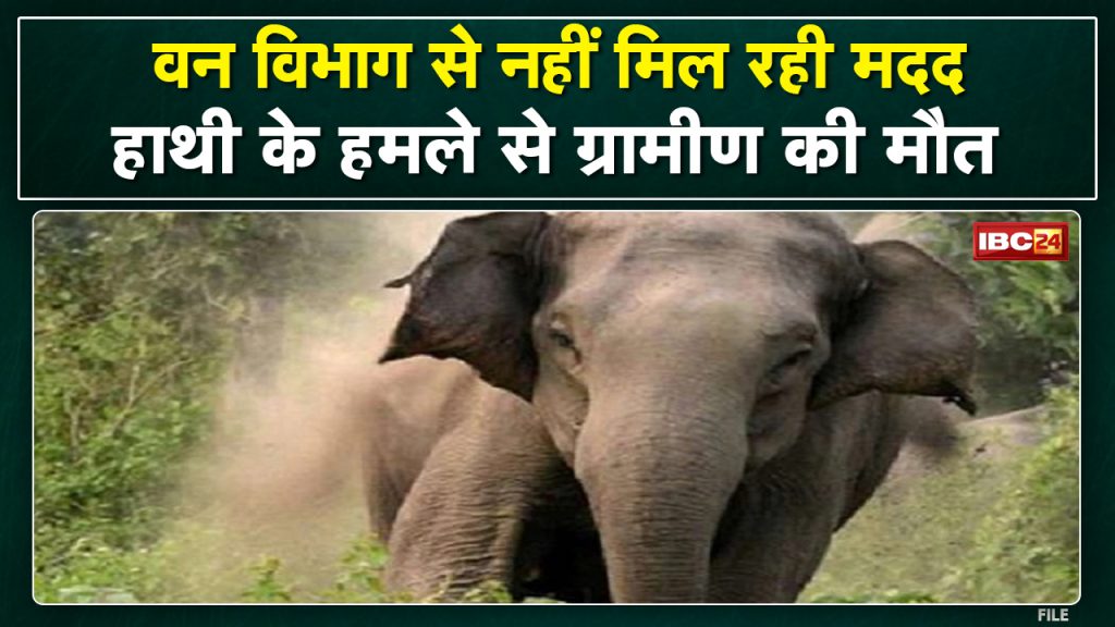 Raigarh: Villager killed in elephant attack Villagers in anger over the death of Dilip Sarkar