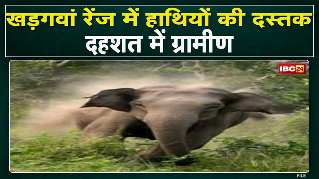 Koriya Elephant Attack: Panic among villagers due to elephant's knock. 2 elephants roaming in Khadagawan range