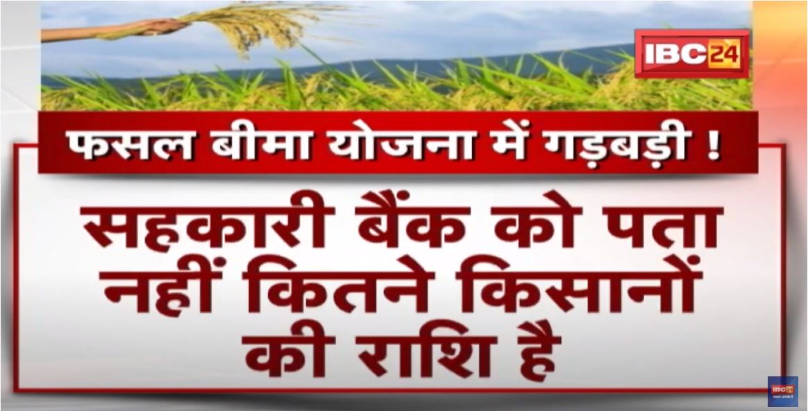Raipur : फसल बीमा योजना में गड़बड़ी ! किसानों के हक पर बैंक का डाका | देखिए पूरी Report