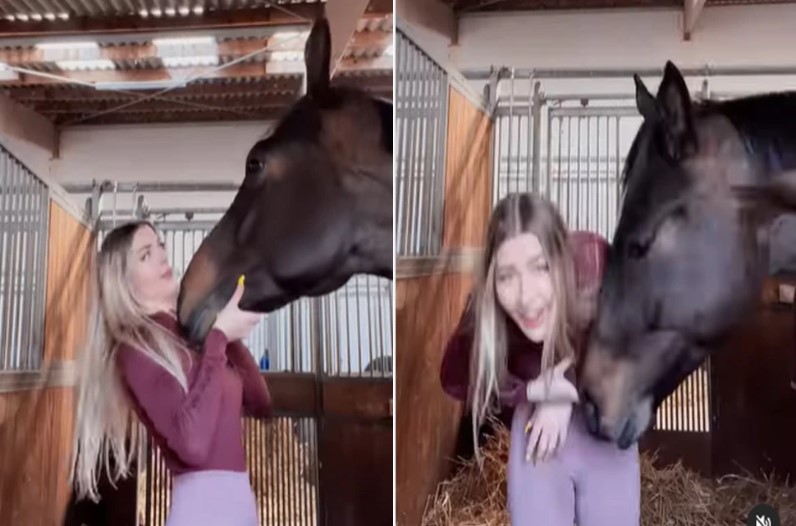 Horse Misbehave with Girl