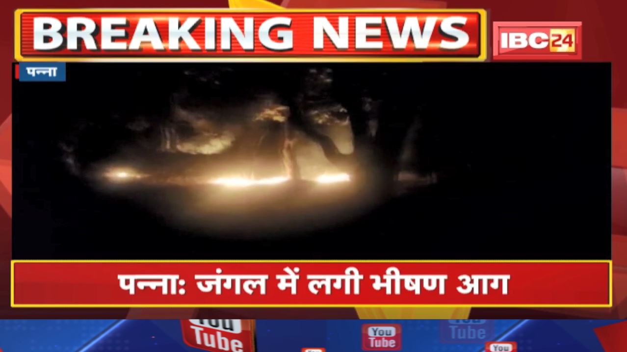 Jungle में आग : Panna के विश्राम गंज जंगल में लगी भीषण आग | आग पर काबू पाने की कोशिश जारी