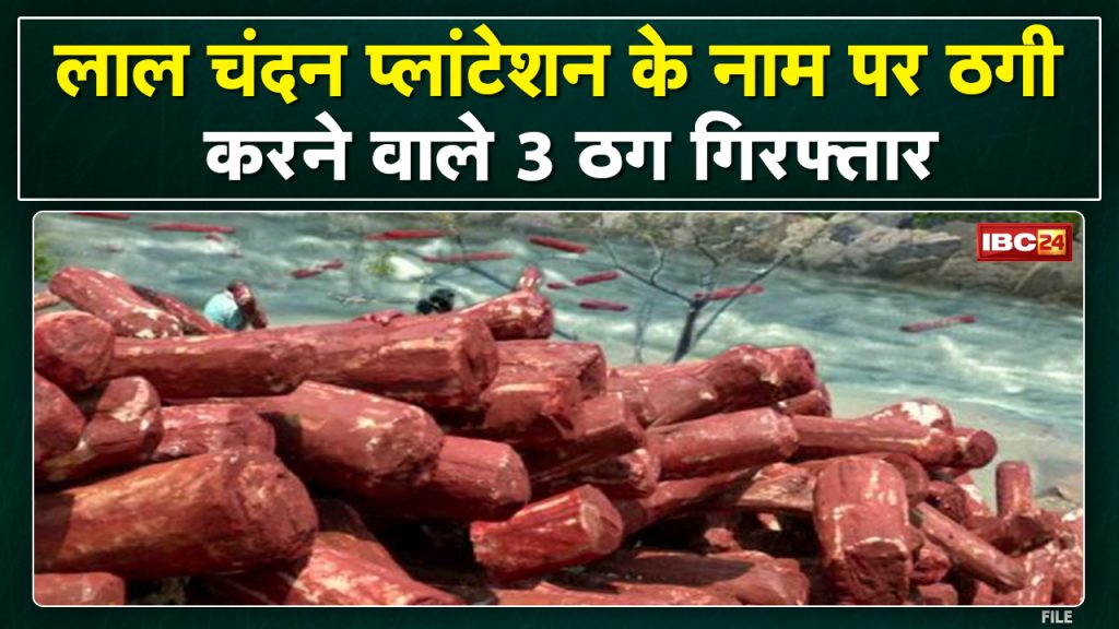 Cheating of lakhs in the name of red sandalwood plantation in Pathalgaon. 3 accused of cheating arrested from Andhra Pradesh