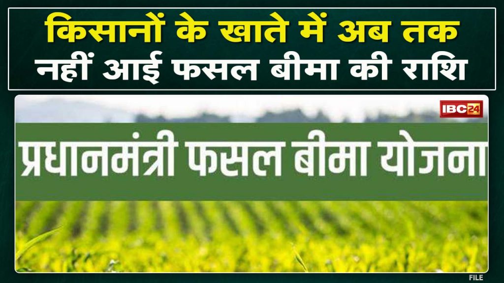 Pradhan Mantri Fasal Bima Yojana: Farmers worried about the amount of insurance. money not yet received in the account