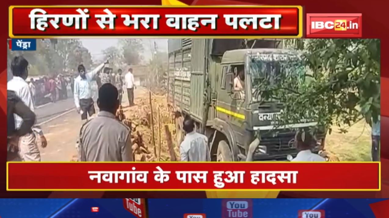 Pendra Accident News : हिरन से भरी वन विभाग की गाड़ी पलटी | नंदन वन से कोरिया ले जाए जा रहे थे हिरण
