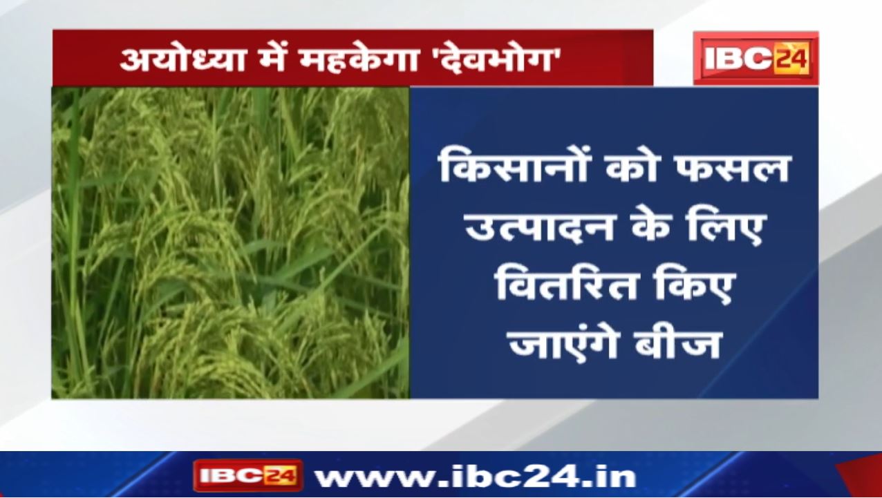 Shri Ram Lala को लगेगा Chhattisgarh देवभोग का भोग | Ayodhya में महकेगी छत्तीसगढ़ देवभोग धान की खुशबू
