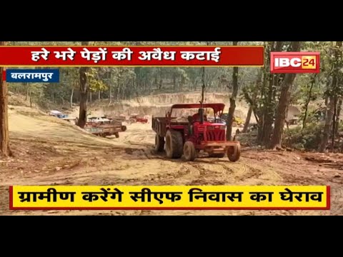 Balrampur : बांध निर्माण के नाम पेड़ों की कटाई | ग्रामीण करेंगे CF निवास का घेराव