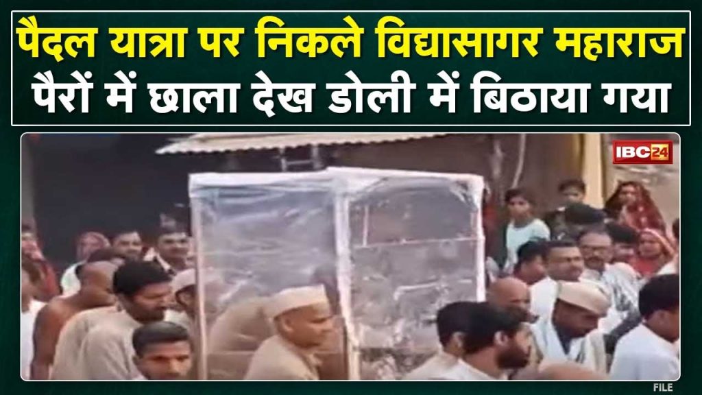 Vidyasagar Maharaj : Acharya set out on a walk. Seeing the blister on the feet, he was made to sit in a doli